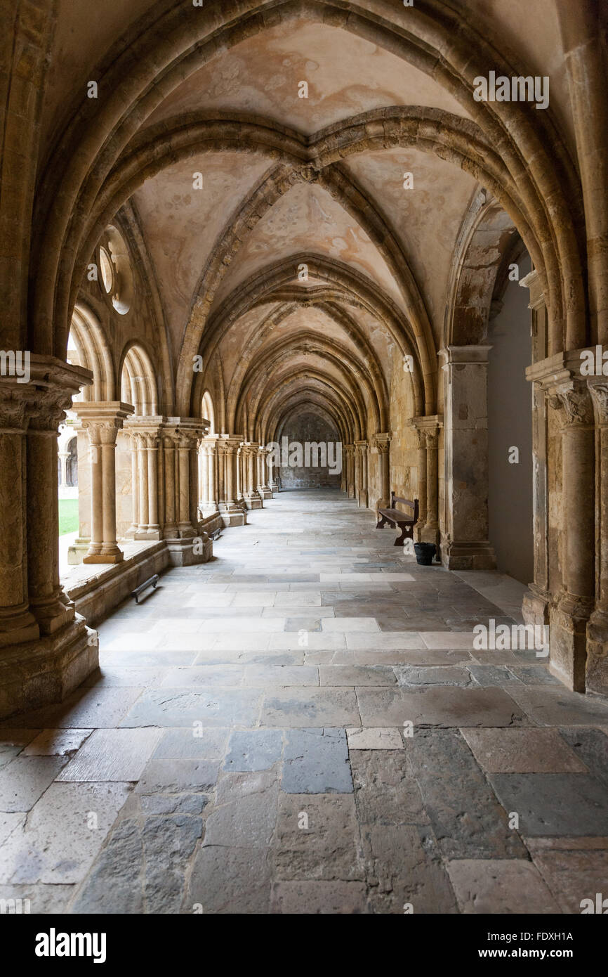 Historischer Stein-Klosterkorridor mit sich wiederholenden spitzen Bögen und Rippengewölben. Stockfoto