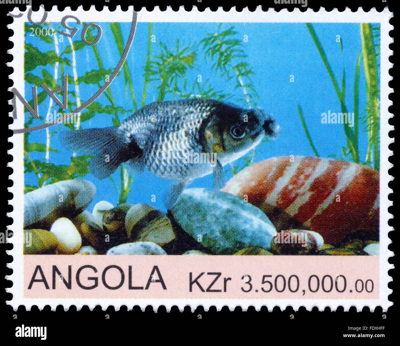 ANGOLA - CIRCA 2000: eine Briefmarke gedruckt in Angola zeigt Goldfish Stockfoto