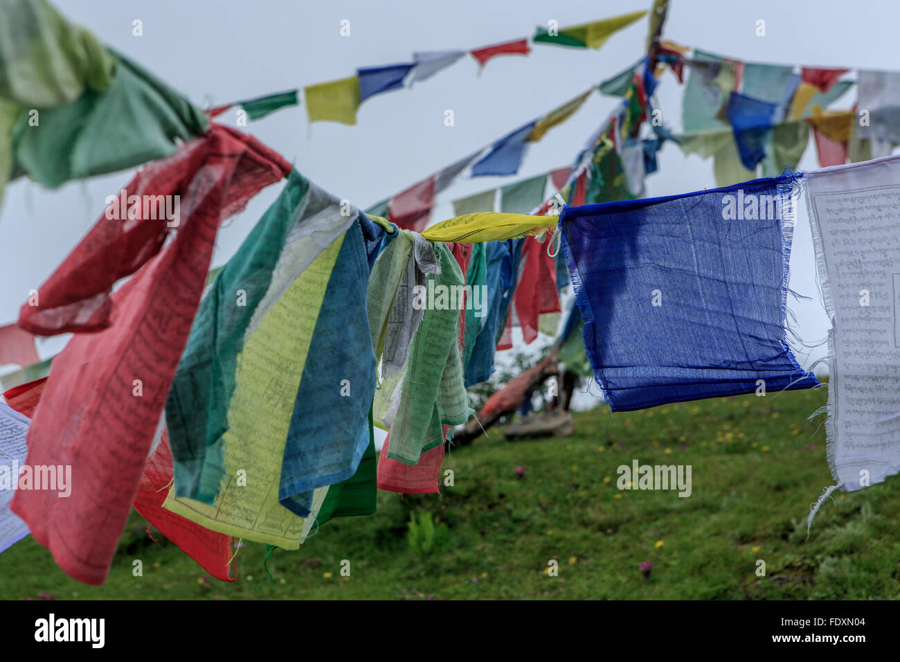 Gebetsfahnen am Chelela Pass, Bhutan Stockfoto