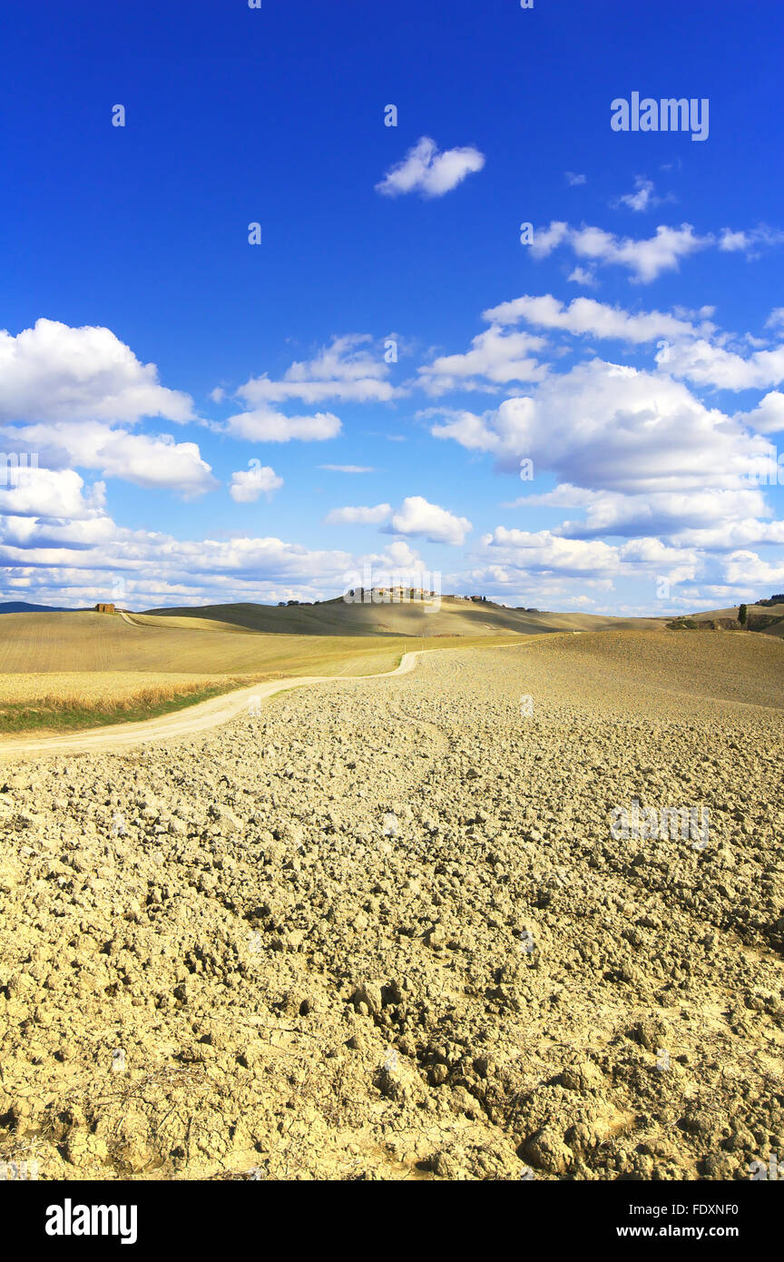Toskana, Crete Senesi Ackerland Land Landschaft, Italien, Europa. Sanfte Hügel, gepflügt, Felder, blauer Himmel bewölkt und eine f Stockfoto