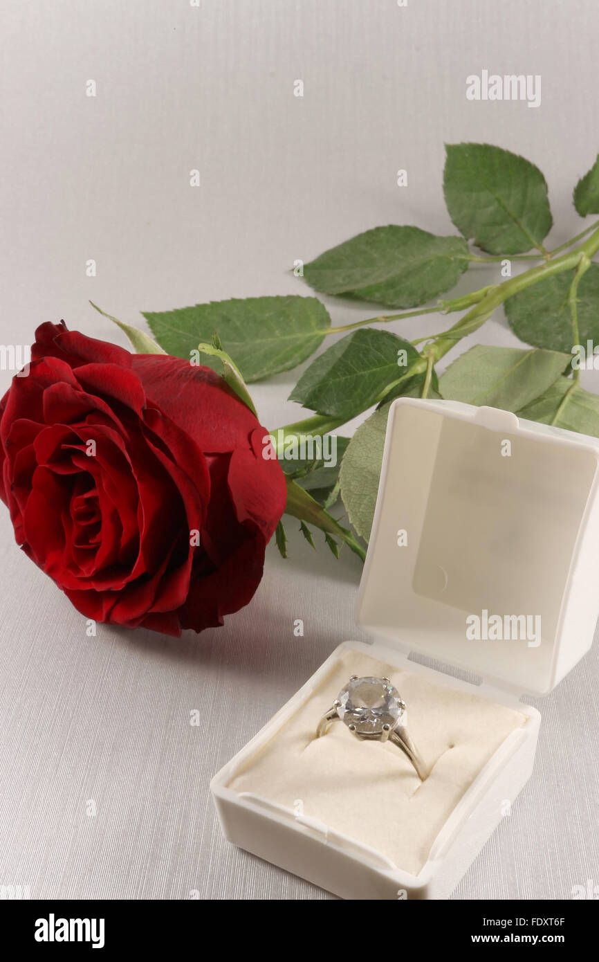 Nahaufnahme von roten Rosen und weißen Kasten mit goldenen Verlobungsring Stockfoto