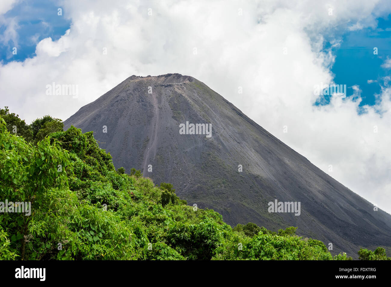 Der perfekte Höhepunkt der aktiv und jung Izalco Vulkans gesehen von einem Aussichtspunkt im Cerro Verde National Park in El Salvador Stockfoto