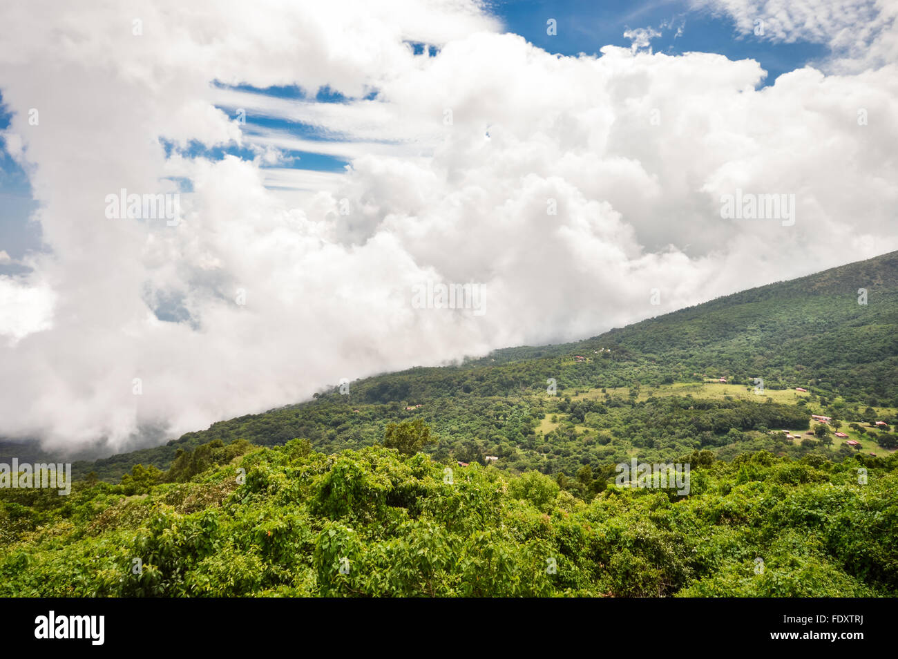 Das grüne Tal unter die Vulkane von Santa Ana, Izalco und Cerro Verde, in El Salvador Stockfoto