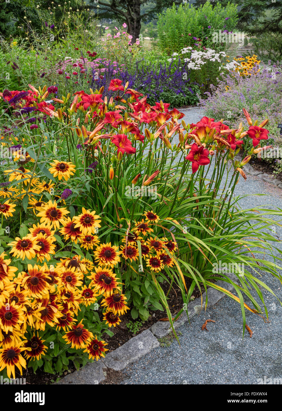 Southwest Harbor, Maine: Blühenden Gärten und Wege in der Charlotte Rhoades Park und Schmetterlingsgarten. Mit Rudbeckia Stockfoto