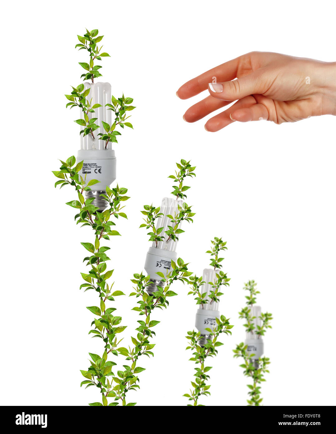 Arme und Glühbirnen. Symbol des Umweltschutzes. Collage. Stockfoto