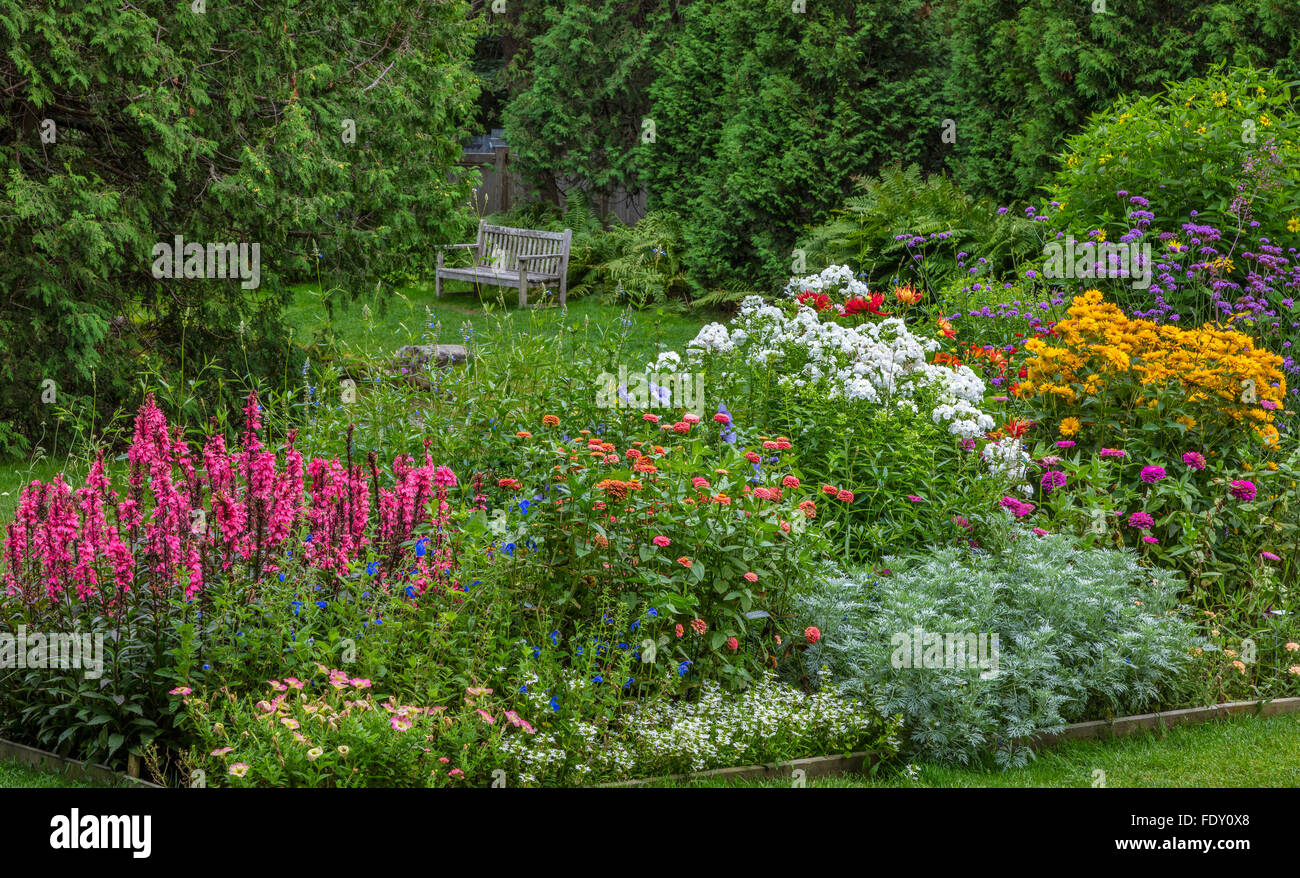 Northeast Harbor, Maine: Thuja Garten im Sommer. Featuring Lobelia 'Fan Lachs", weiß blühende Phlox, Zinnien, veronica Stockfoto