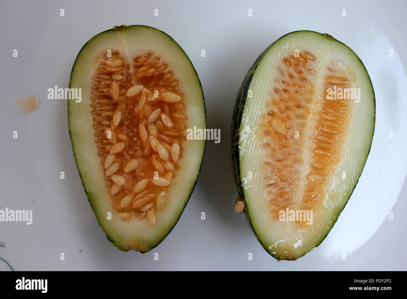 Wild Melon, Cucumis Melo Var Agrestis, Obst Abschnitt, Bari Kachri, ovale Frucht, grüne Haut, dunkle grüne Flecken, blasse grüne Fleisch Stockfoto