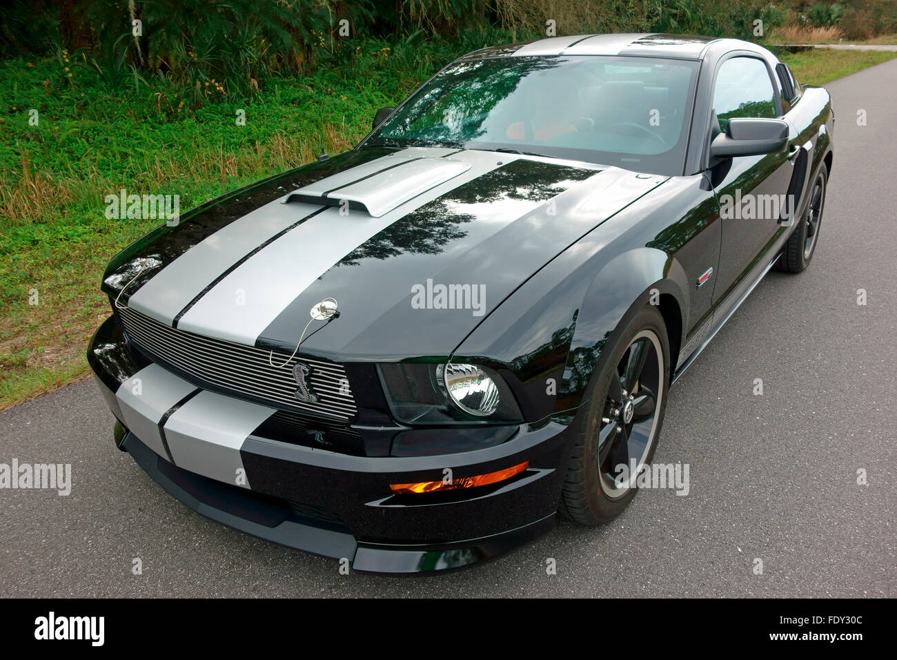 Shelby Mustang GT 2007 schwarz Muscle-Car auf der Autobahn Stockfoto