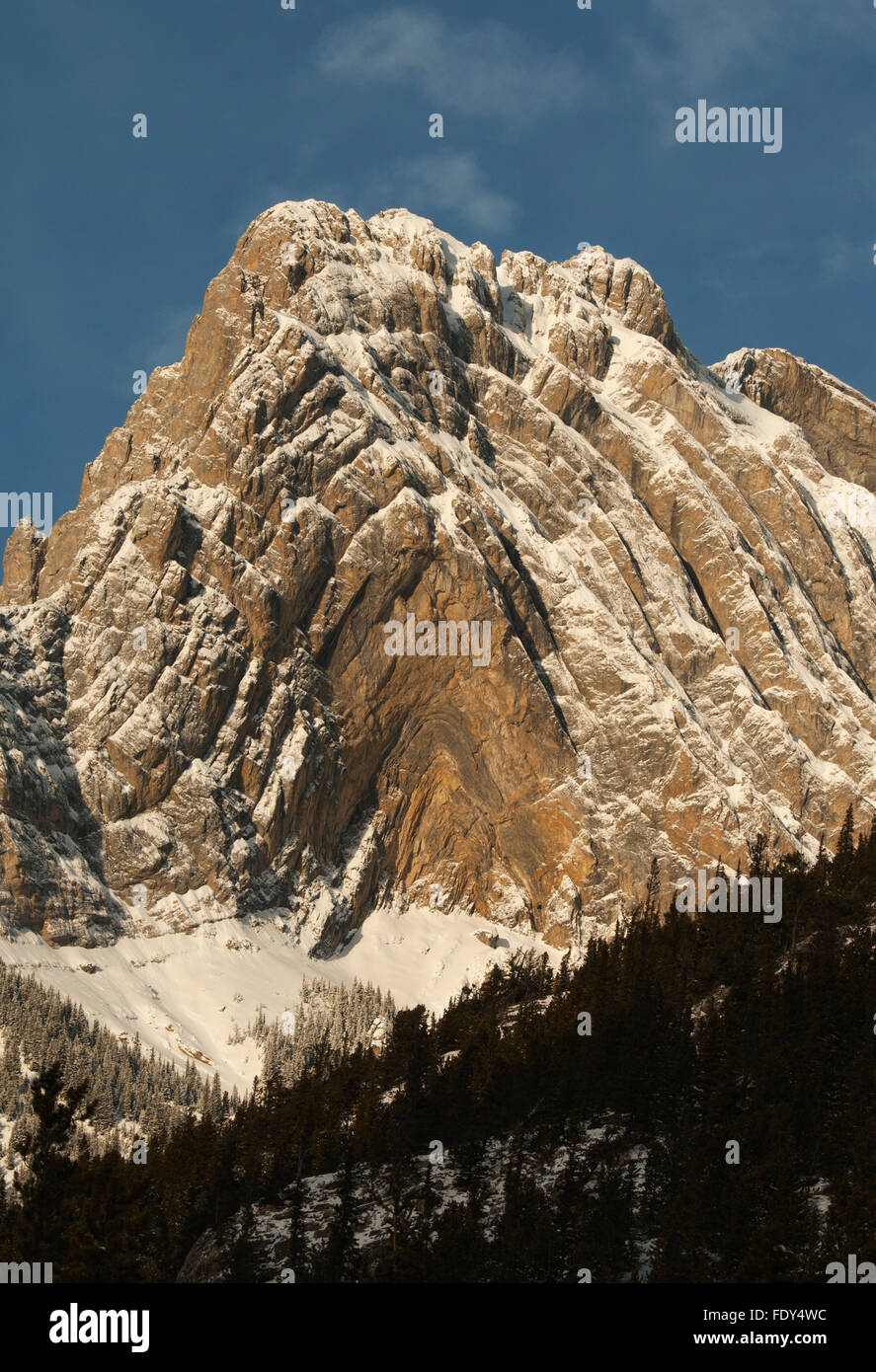 Sonnenaufgang am Mt. Abraham, zeigt drastisch gefaltet Sedimente, winter, kanadischen Rocky Mountains, Alberta, Kanada Stockfoto