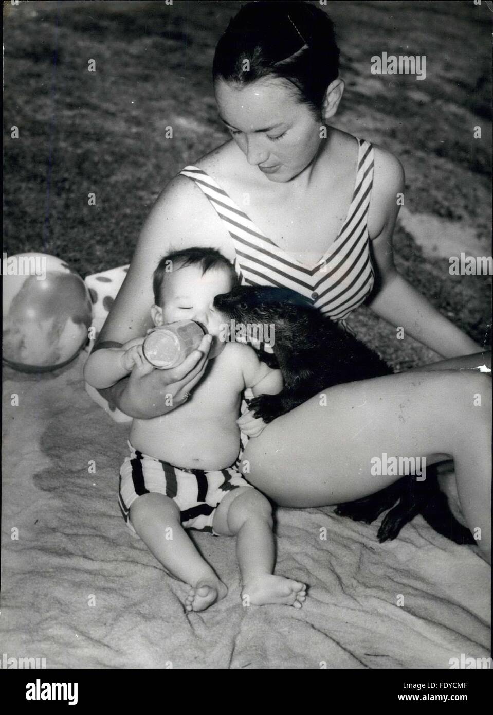 1962 - It Otterly unglaublich! Während die meisten Kinder mit herkömmlichen Haustieren wie Katzen und Hunde erzogen werden, beginnt kleine Timmy Allen Lebens mit der Begleitung durch einen Otter namens Otto. Familienhund, gehalten von Jeanette Allen, Timothy s Mutter in ihrem Haus bei Silver Springs (Florida) das Kind genießt, vor allem bei der Fütterung mal wann es zu tuck in einer Babyflasche voll Milch gerne herumspielen. OtterÃ s größte Freude ist, wenn sein 1 Jahr alt menschliche Spielkamerad ins Wasser geht. Dies ist bei Otto in seinem Element ist. Das ungewöhnliche Trio gesehen hier genießen einen typischen Tag in der Stockfoto