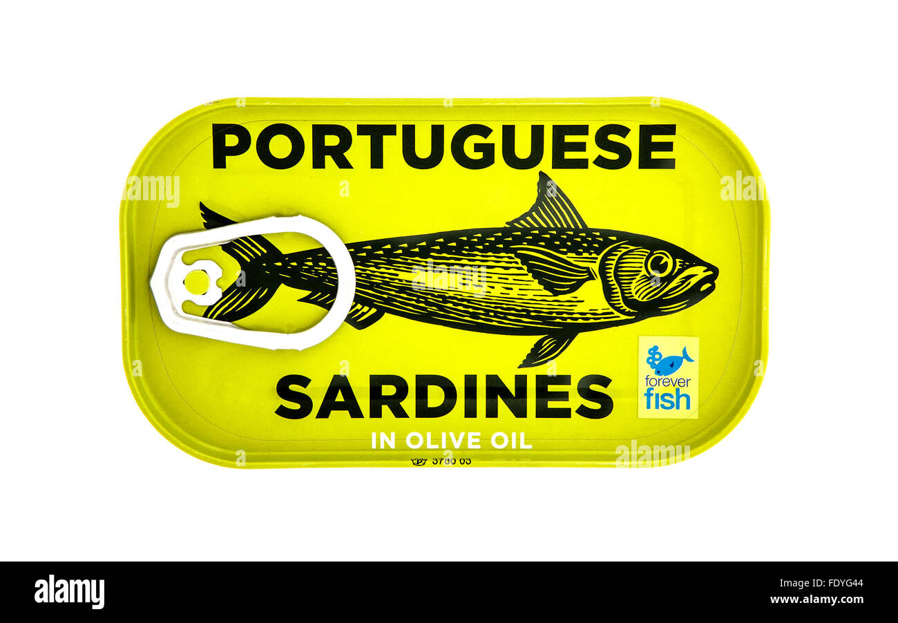 Dose mit portugiesischen Sardinen auf einem weißen Hintergrund, immer Fisch unterstützt nachhaltig gefischt Sardinen Stockfoto
