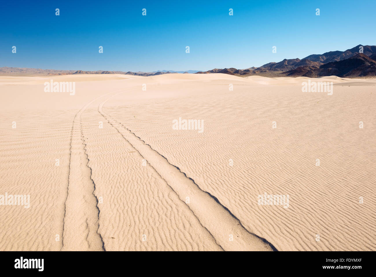 Dumont Dünen geländegängige Fahrzeugbereich, in der Mojave Wüste in Kalifornien Stockfoto