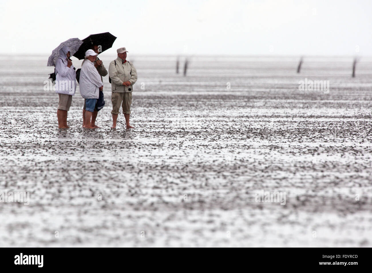 Cuxhaven, Deutschland, Menschen bei Regenwetter im Wattenmeer Stockfoto