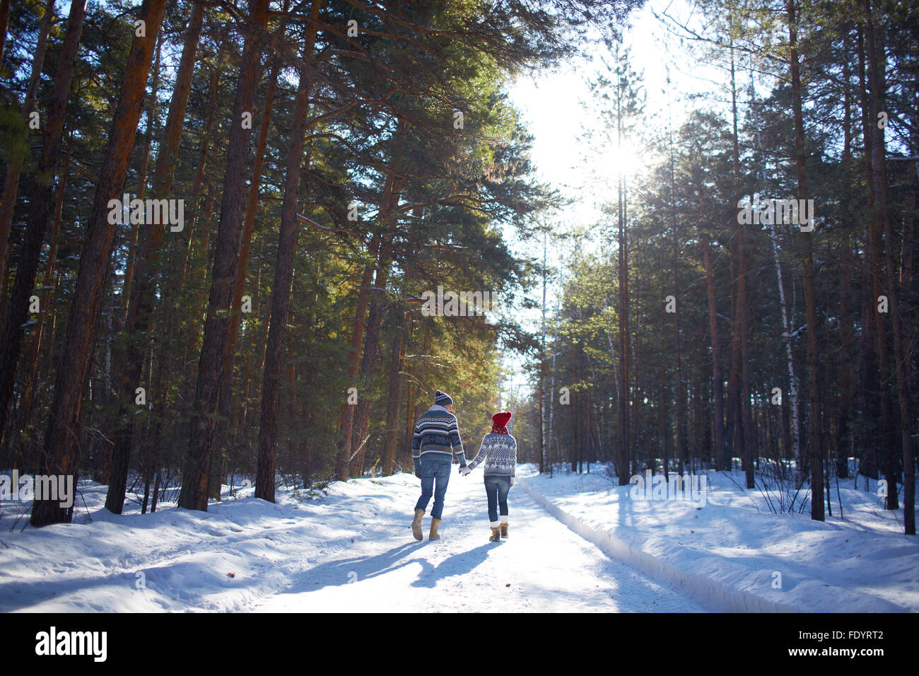 Rückansicht des Paares in Jeans und Pullover Wandern im Winterwald Stockfoto