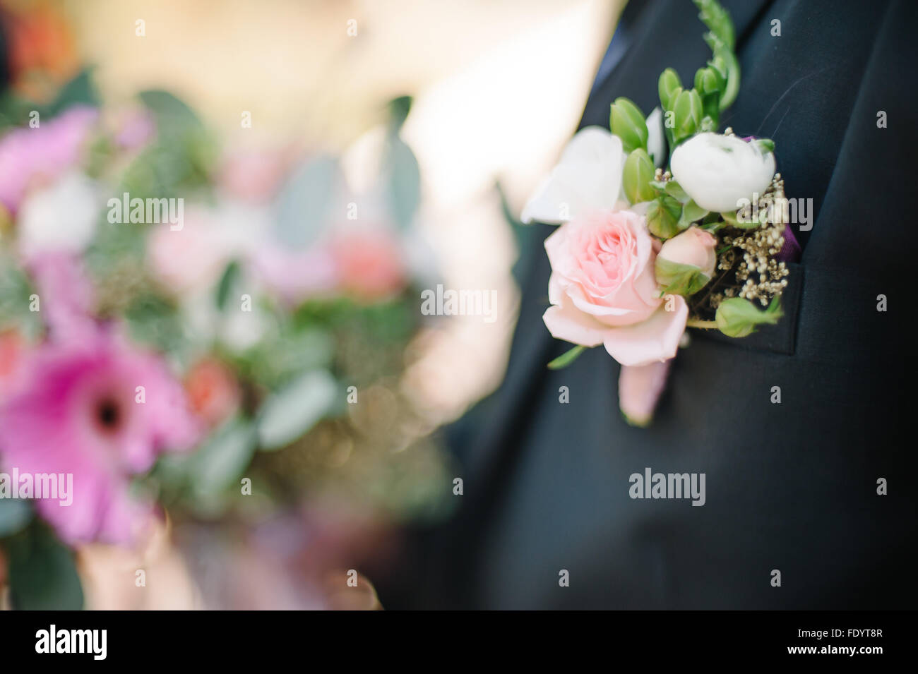 Fixieren einer Boutonniere für Bräutigam am Hochzeitstag Stockfoto