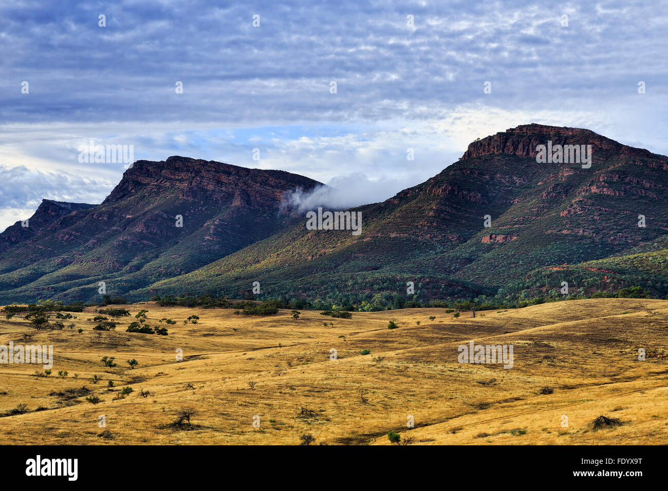 Nahaufnahme der geschichteten felsigen Kalkstein Bildung der Hausberg Wilpena Pound im Flinders Ranges National Park bei Sonnenaufgang Stockfoto