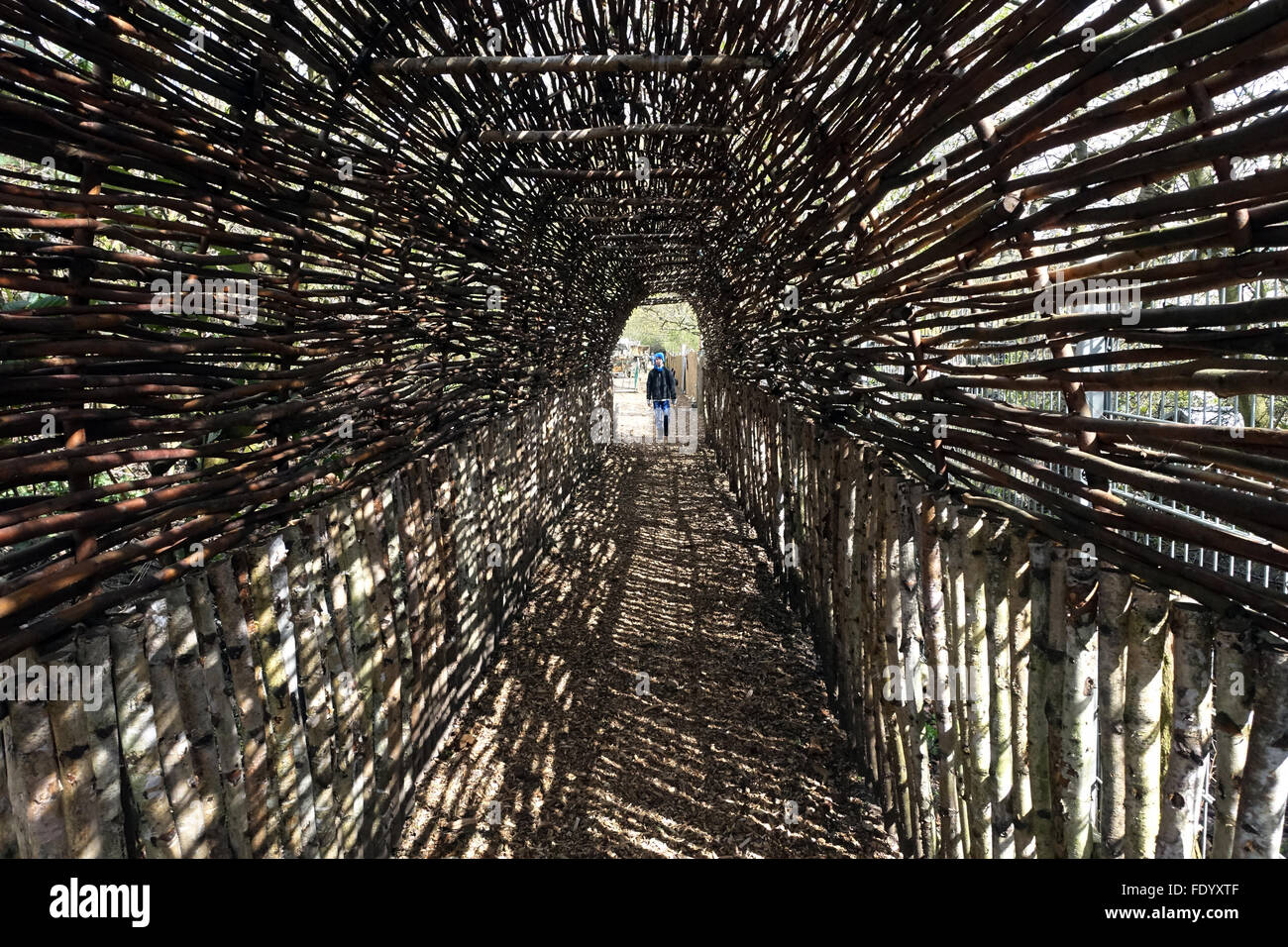 Berlin, Deutschland, steht am Anfang eines Tunnels der Zweige junge Stockfoto