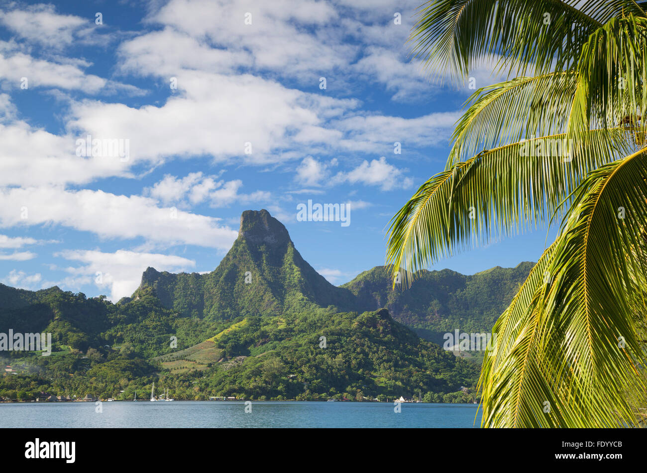 Cooks Bay, Mo'orea, Gesellschaftsinseln, Französisch-Polynesien Stockfoto