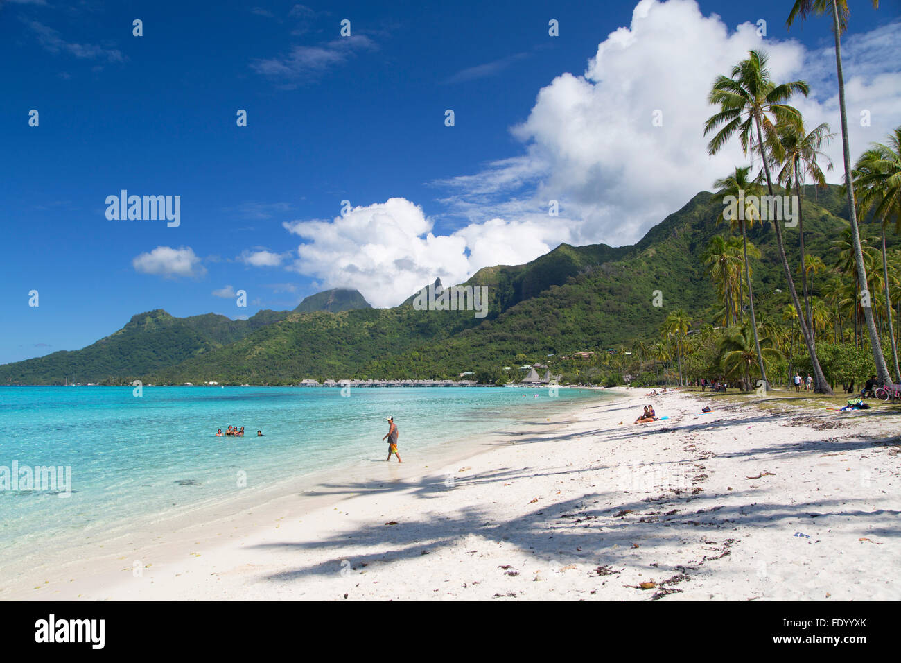 Temae Strand, Moorea, Gesellschaftsinseln, Französisch-Polynesien Stockfoto