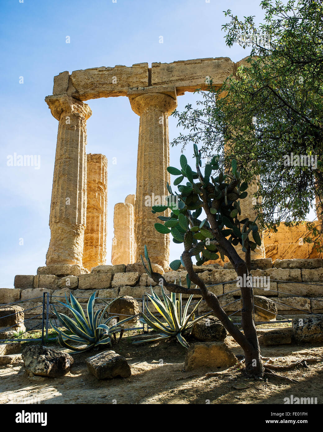 Überreste der Tempel der Juno Spalte und Architravs, Agrigento, antiken griechischen Stadt von Akragas, Sizilien, Italien Stockfoto