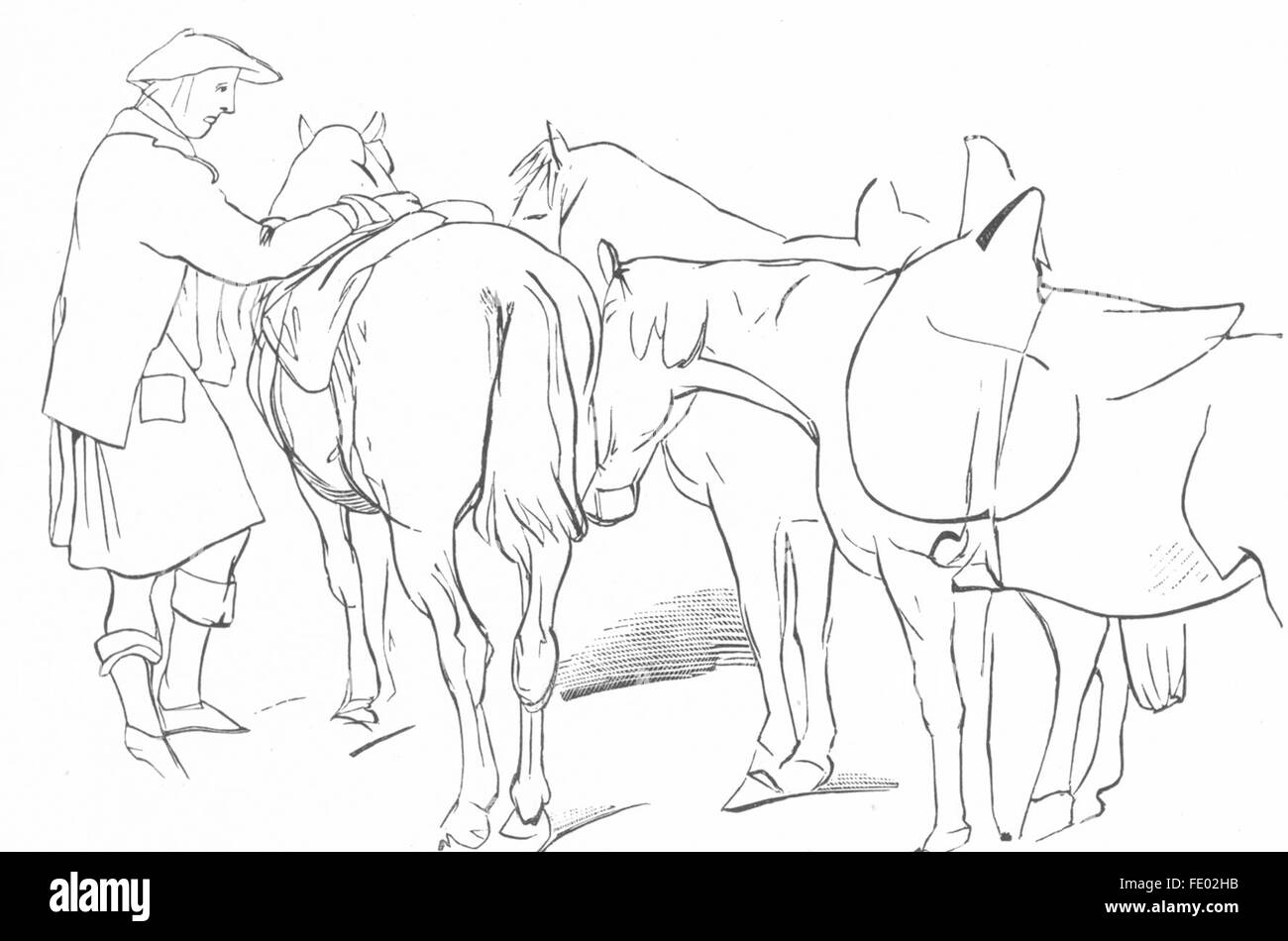 Pferde: Highlander & Ponys-Landseer, antiken print c1880 Stockfoto