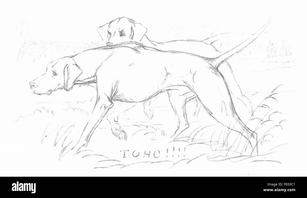 Hunde: Beispiel 4-Landseer, antike print c1880 Stockfoto