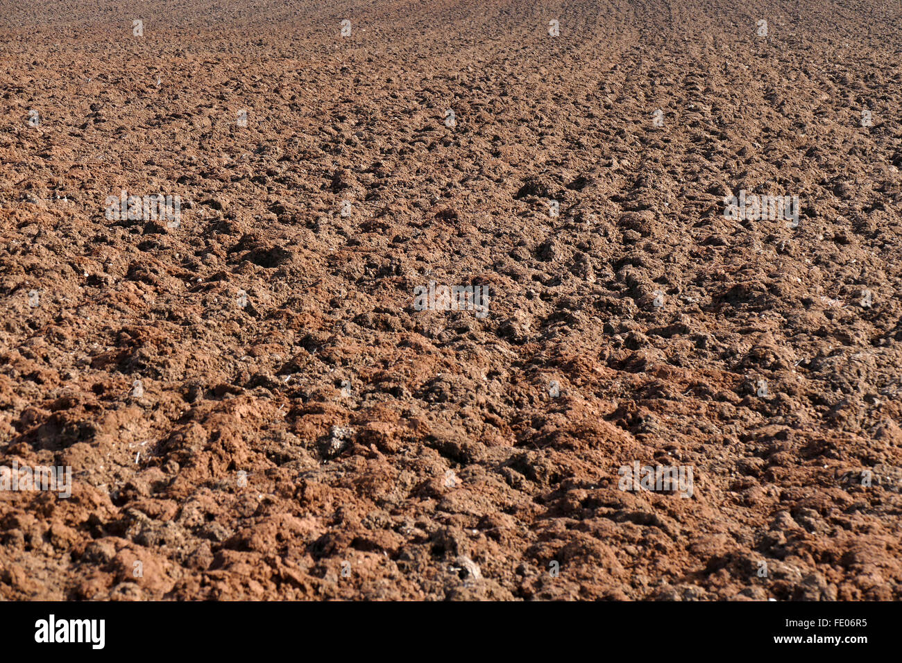 Gepflügtes Feld vor dem Einpflanzen. Stockfoto