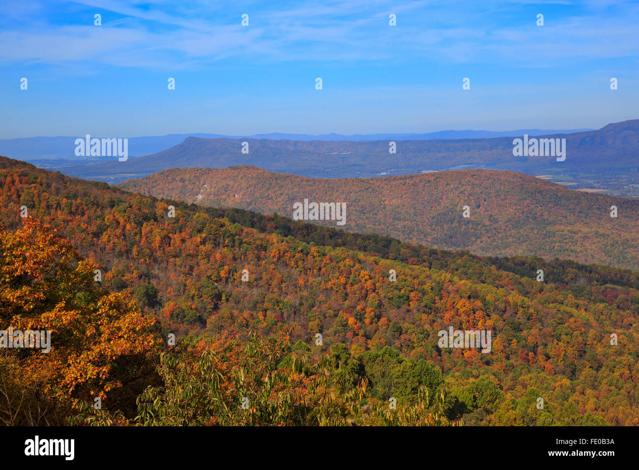 Schnelle Ausführung übersehen, Skyline Drive, Shenandoah-Nationalpark, Virginia Stockfoto