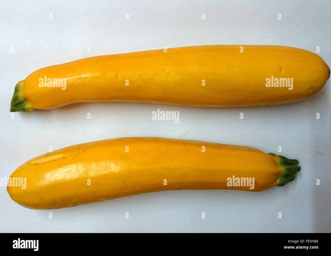 Cucurbita Pepo, gelbe Zucchini, Sommerkürbis Sorte, goldene gelbe  zylindrische Frucht, blasse weißes Fleisch, gekochtes Gemüse  Stockfotografie - Alamy