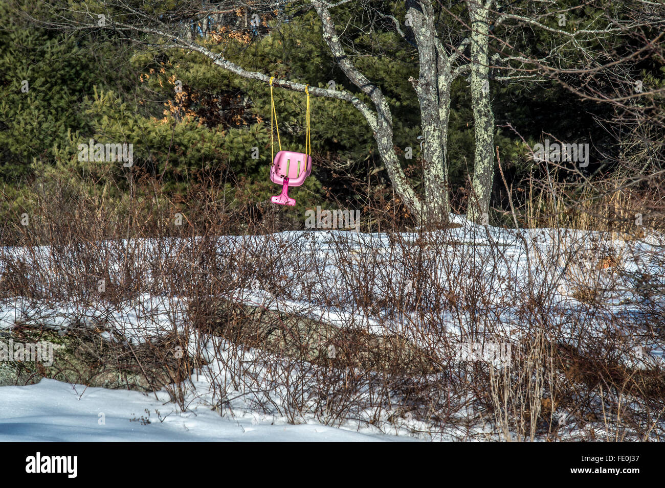 Ein kleines Mädchen hat eine neue rosa schwingen, aber es ist jetzt die Mitte des Winters, mit Schnee und Kälte. So sitzt es leer, nur darauf warten. Stockfoto