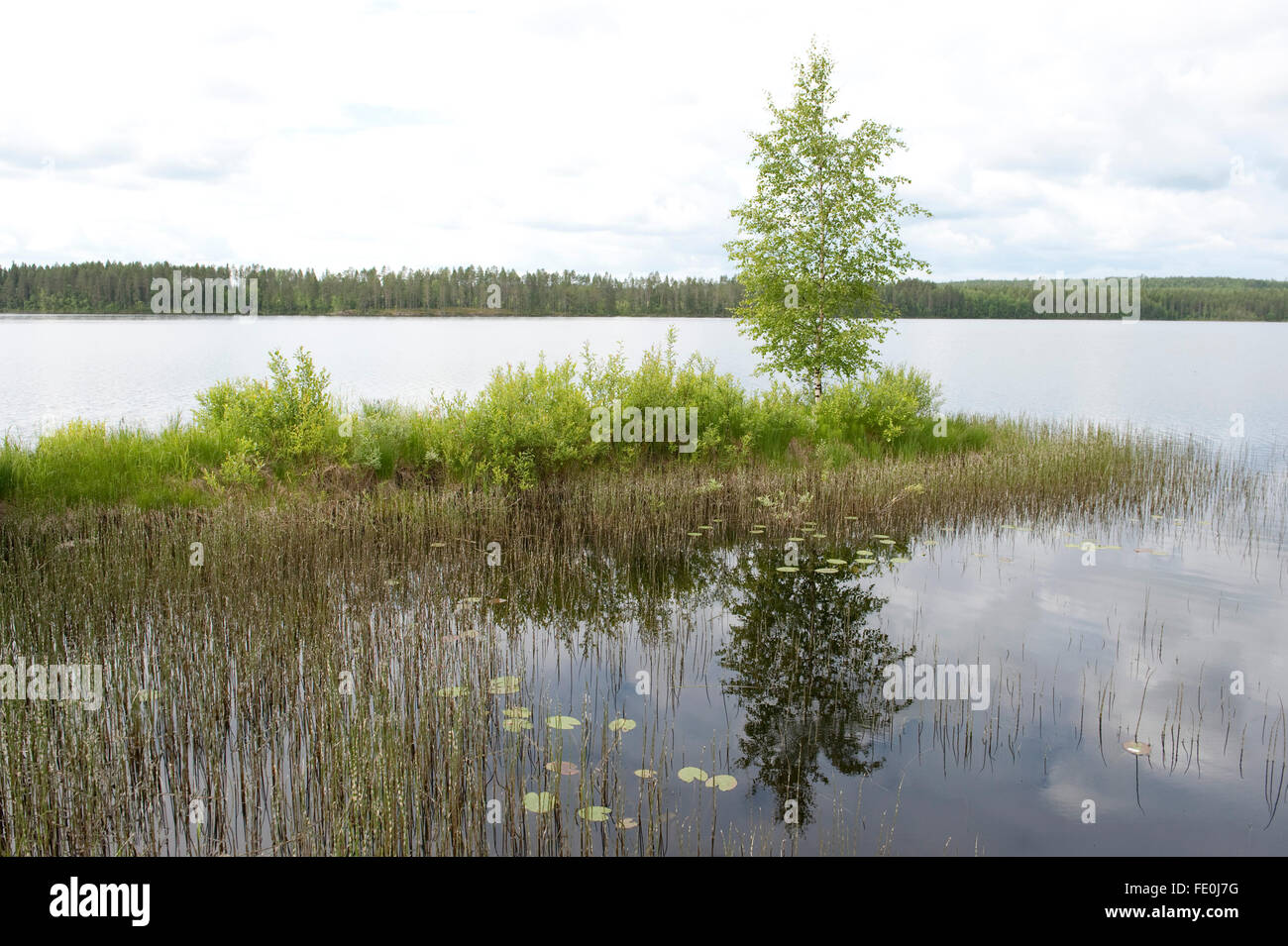 LENTIIRA See, Kuhmo, Finnland Stockfoto