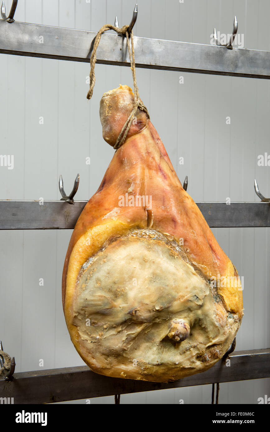Großes Stück des italienischen Parma Schinken hängen aus Edelstahl Regale in Fleischverarbeitungsbetrieb Stockfoto