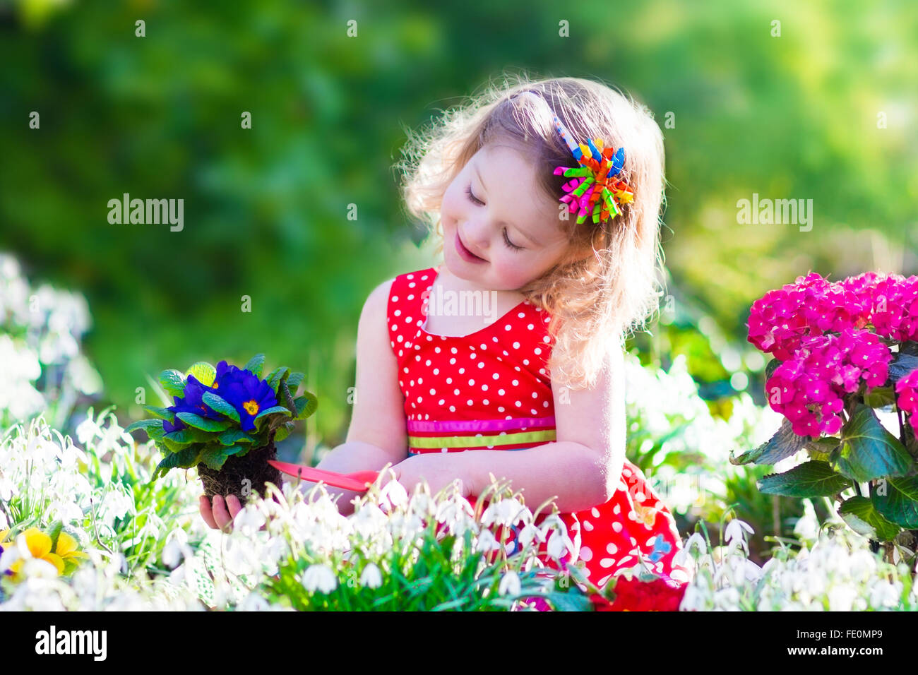 Niedliche lockiges kleine Mädchen in einem roten Sommer Kleid in die Gartenbewässerung, die ersten Frühlingsblumen an einem sonnigen warmen Tag arbeiten Stockfoto