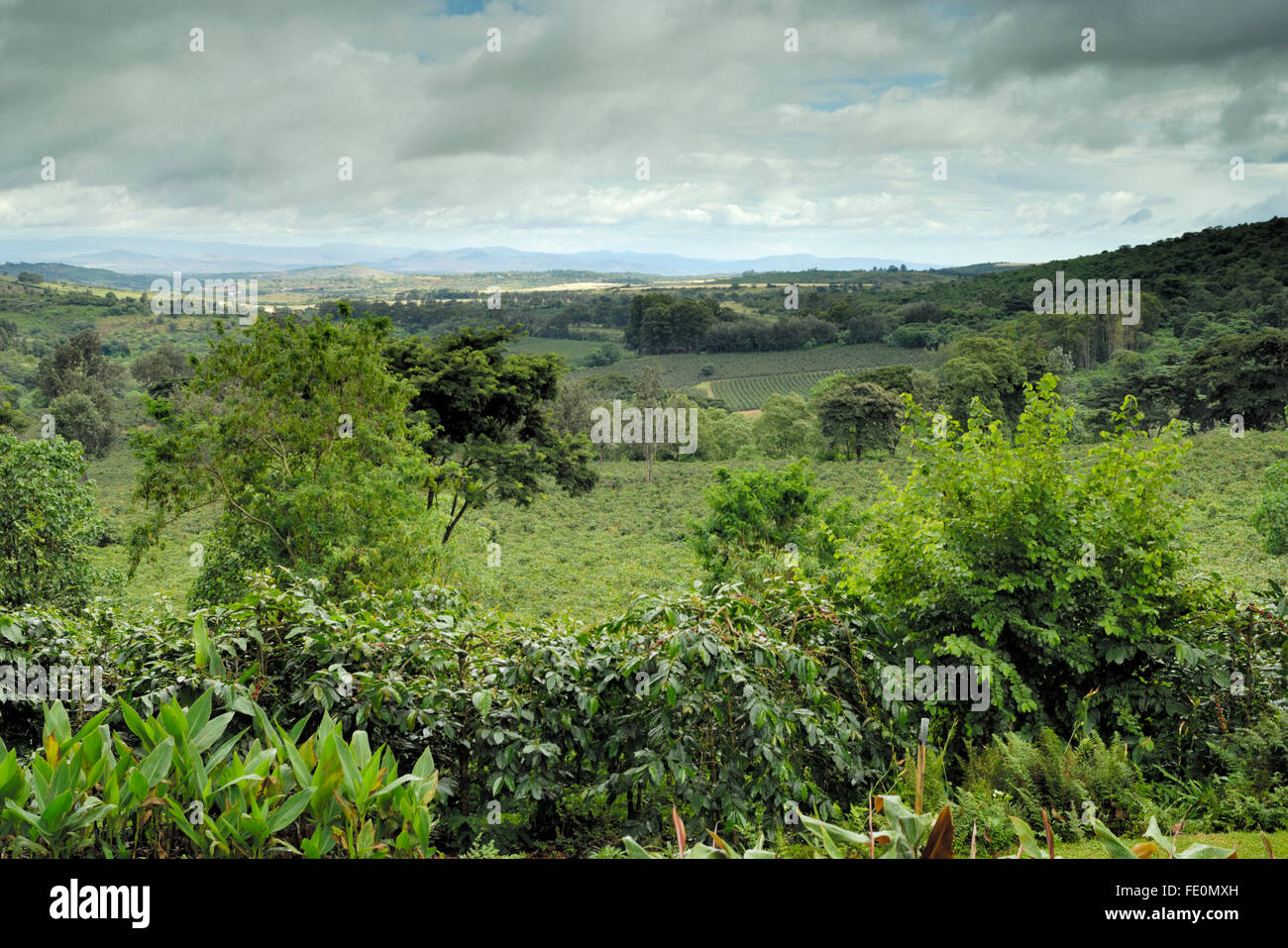 Blick von Gibbs Bauernhof mit Blick auf das Tal Stockfoto