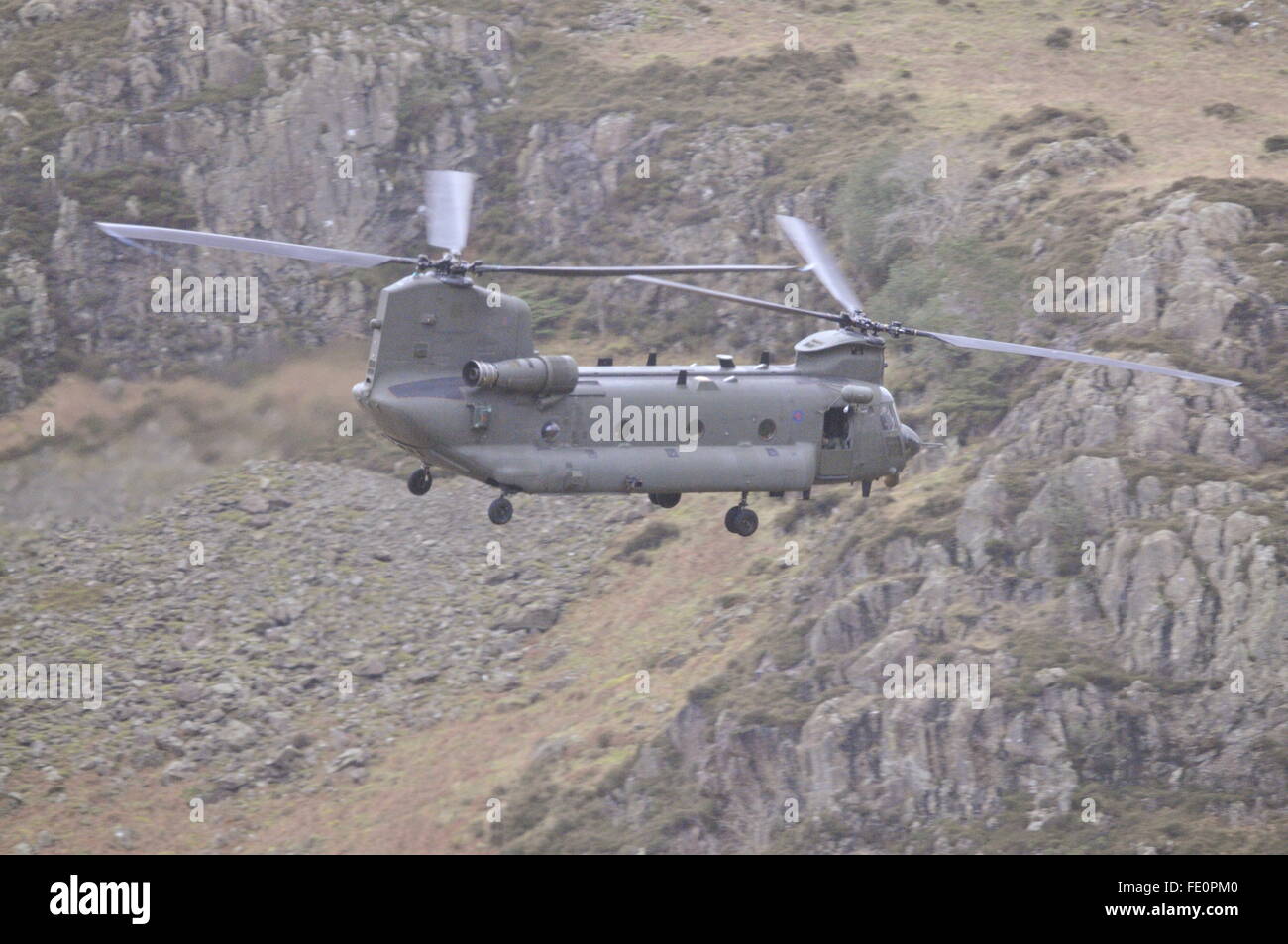 Chinook - englischen Lake District Stockfoto