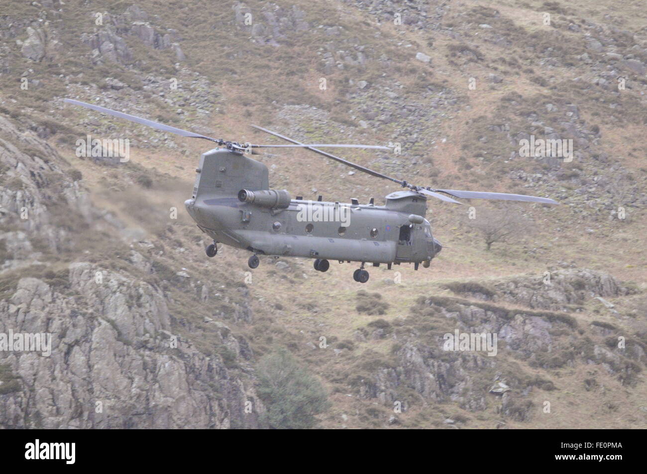 Chinook - englischen Lake District Stockfoto