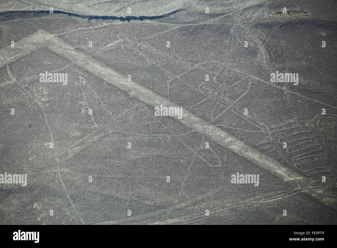 Luftaufnahme von Nazca-Linien - Wal Geoglyph, Peru. Die Linien wurden im Jahr 1994 als UNESCO-Weltkulturerbe ausgewiesen. Stockfoto