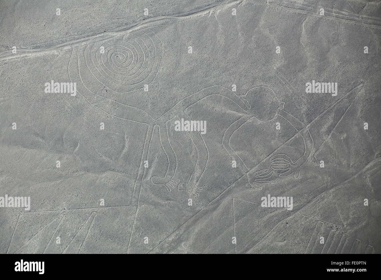 Luftaufnahme von Nazca-Linien - Affe Geoglyph, Peru. Die Linien wurden im Jahr 1994 als UNESCO-Weltkulturerbe ausgewiesen. Stockfoto