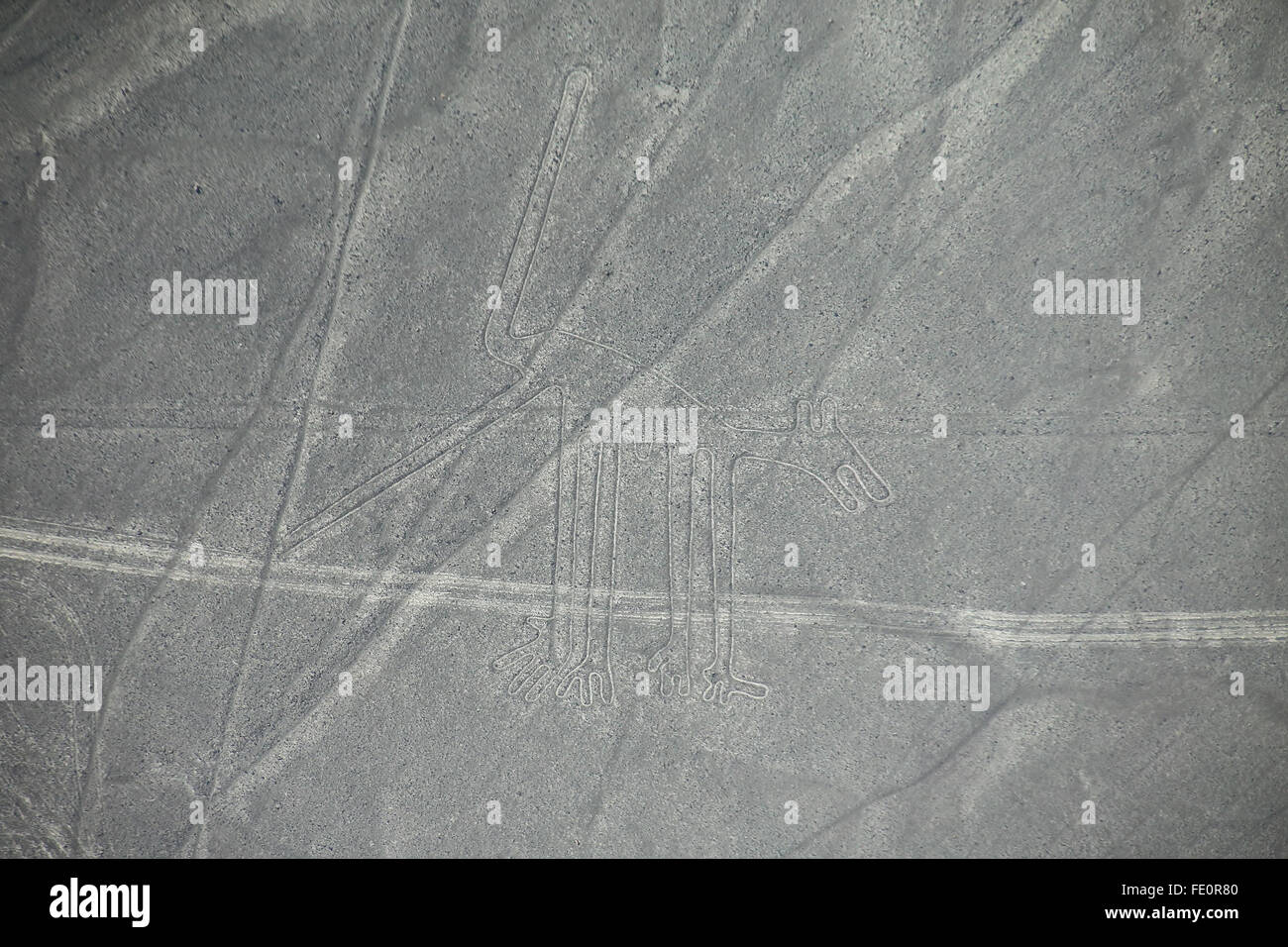 Luftaufnahme von Nazca-Linien - Hund Geoglyph, Peru. Die Linien wurden im Jahr 1994 als UNESCO-Weltkulturerbe ausgewiesen. Stockfoto