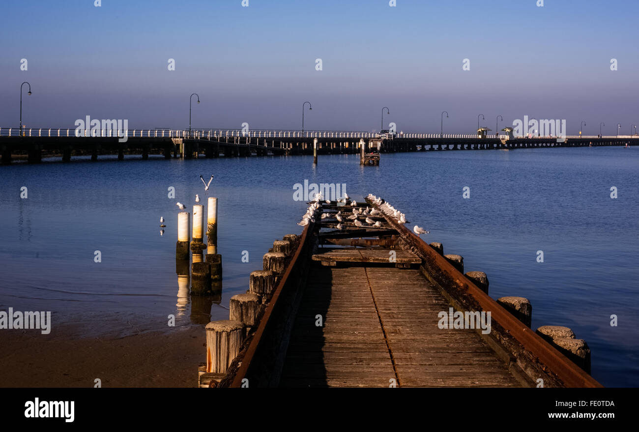 Möwen ruhen auf Pier in St. Kilda, Melbourne Stockfoto