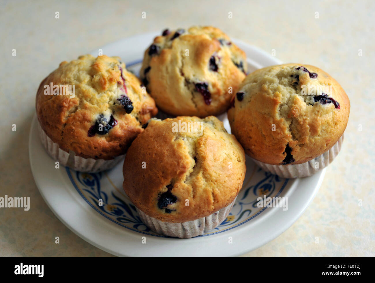 Hausgemachte schwarze Johannisbeere Muffin Kuchen. Stockfoto