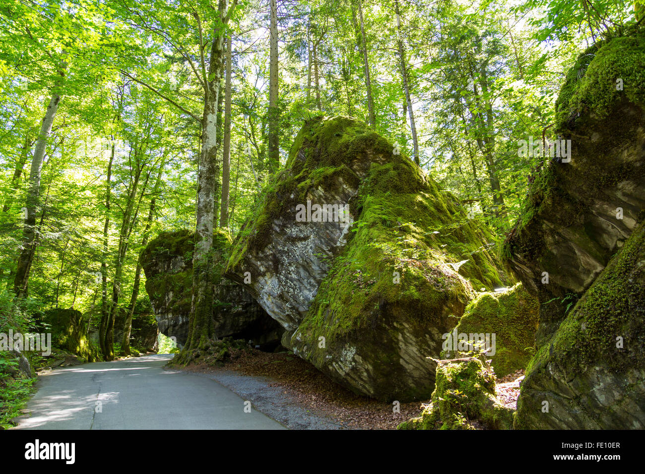 Riesige Felsen im Blausee oder Blue Lake Naturpark im Sommer, Kandersteg, Schweiz Stockfoto