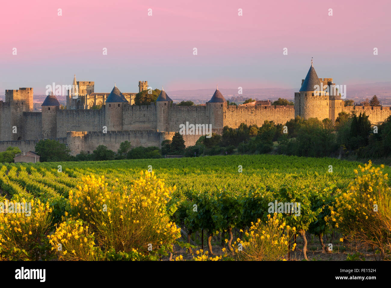 Dawn mit Blick auf das mittelalterliche Dorf Carcassonne, languedoc-Roussillon, Frankreich Stockfoto