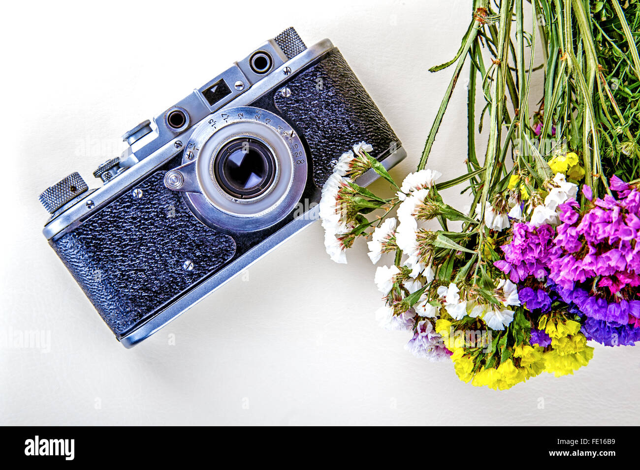 Kamera-Blumen Retro-Stillleben Stockfoto