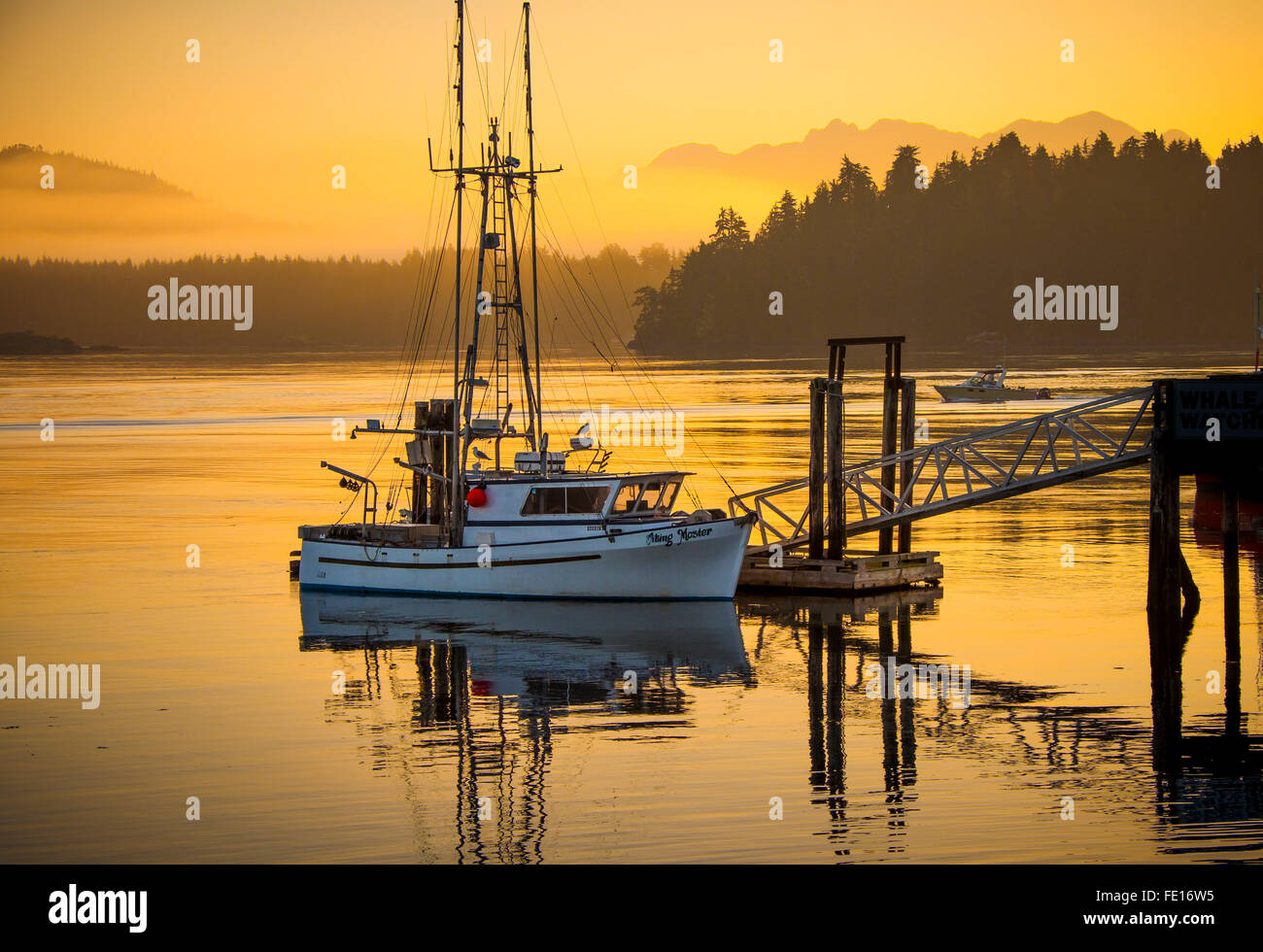 Tofino, Britisch-Kolumbien: Angelboot/Fischerboot im Morgengrauen am Hafen von Tofino auf Vancouver Island, Kanada Stockfoto