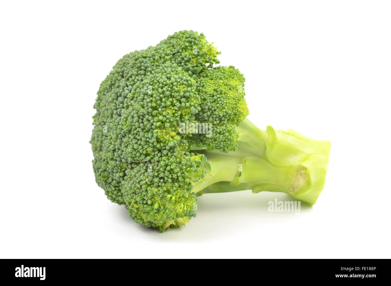 Brokkoli isoliert auf weißem Hintergrund Stockfoto