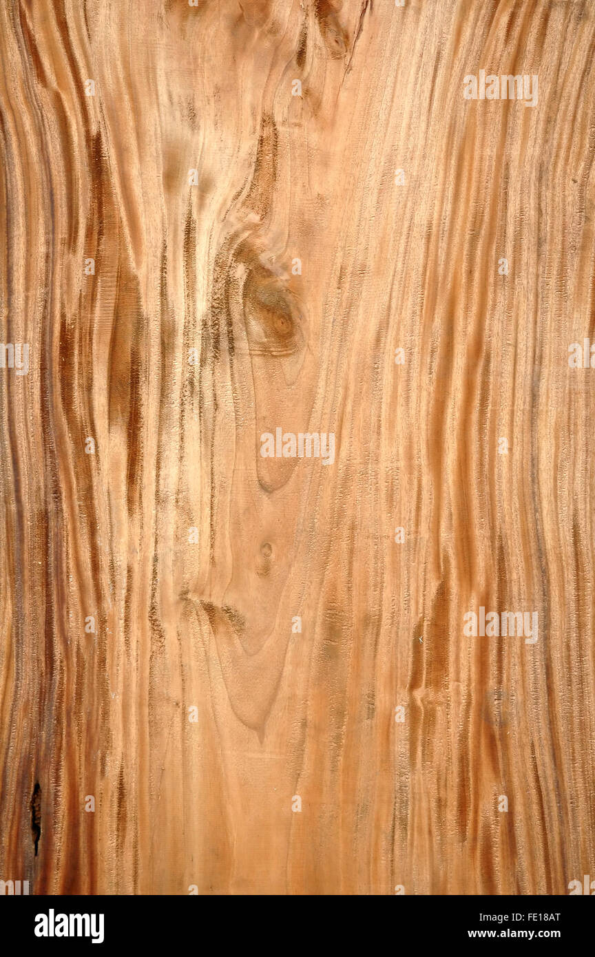 Textur des Holzes Stockfoto