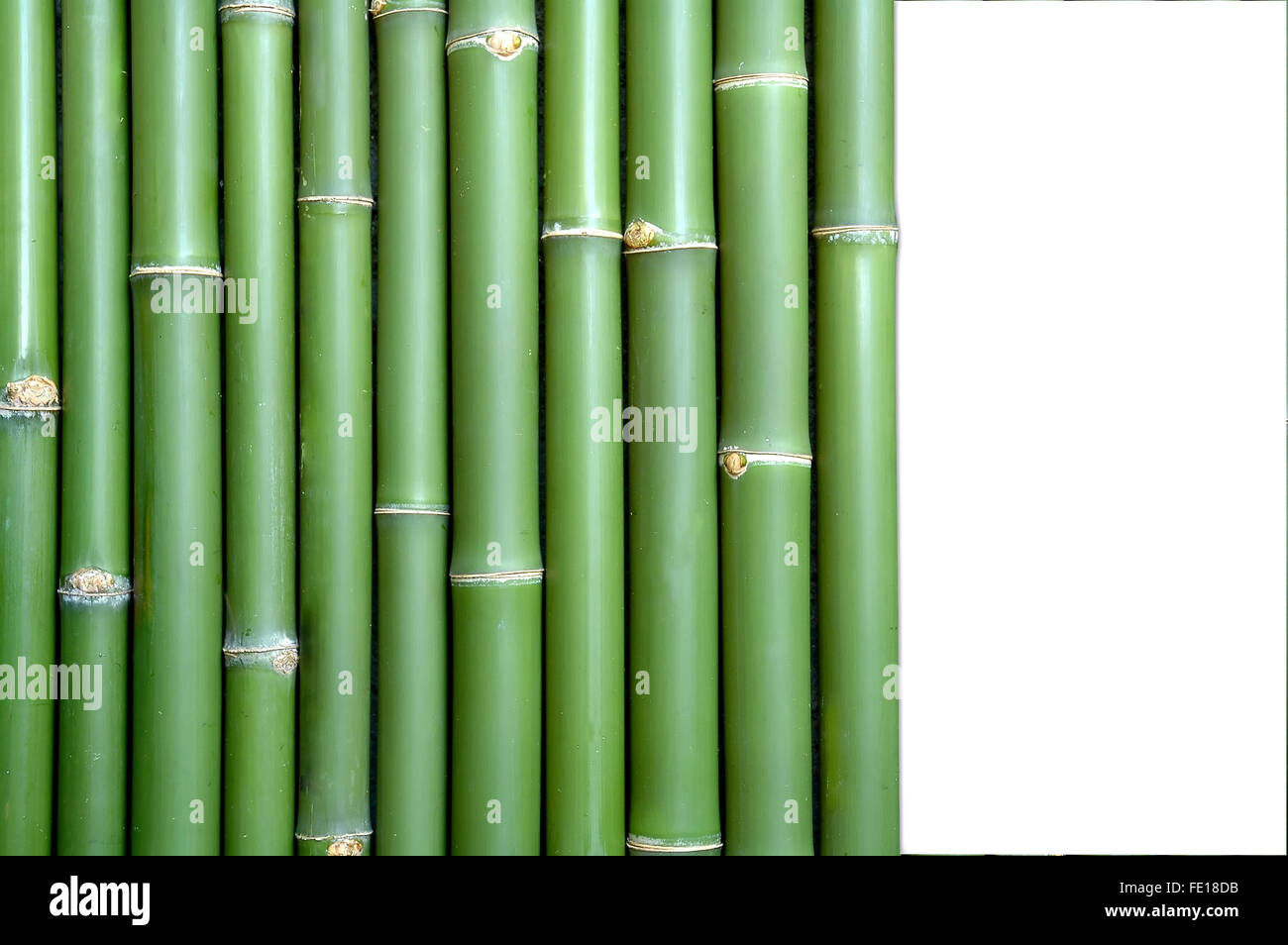 Bambus-Hintergrund Stockfoto