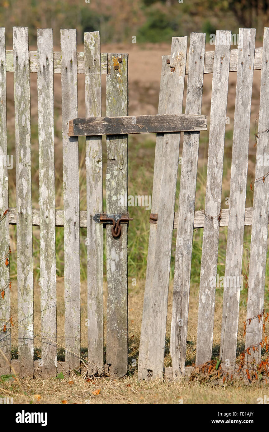 alten hölzernen Zaun mit einem Tor Stockfoto