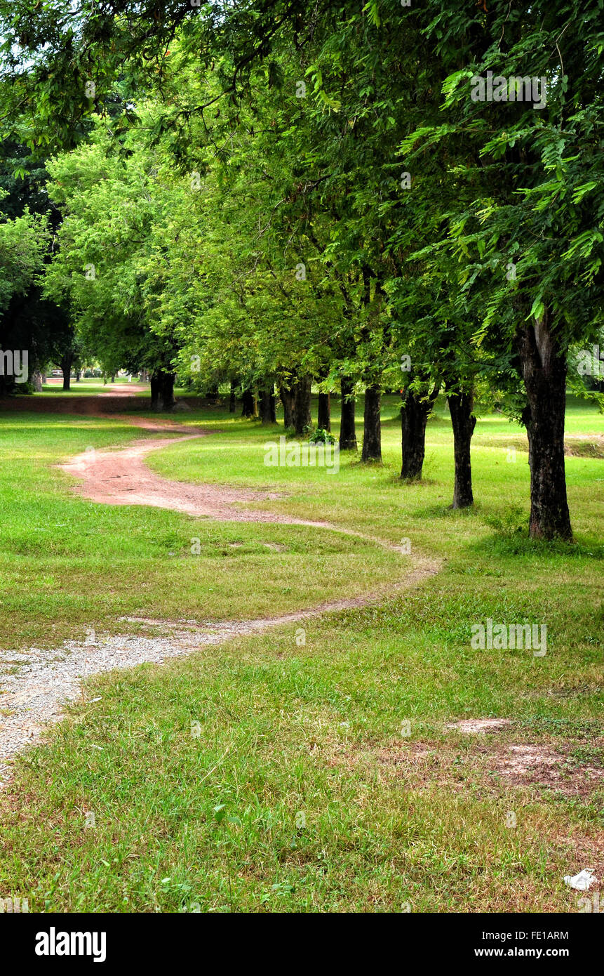 Straße in eine Ggarden mit Baum und grasgrün Stockfoto